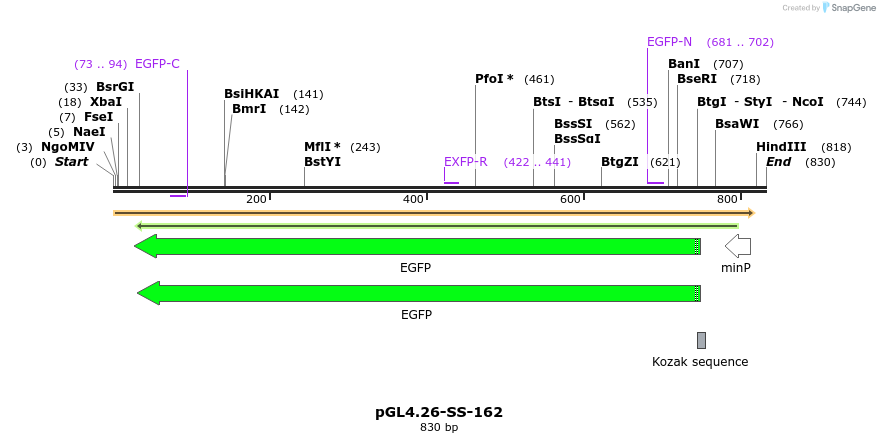 124905_map
