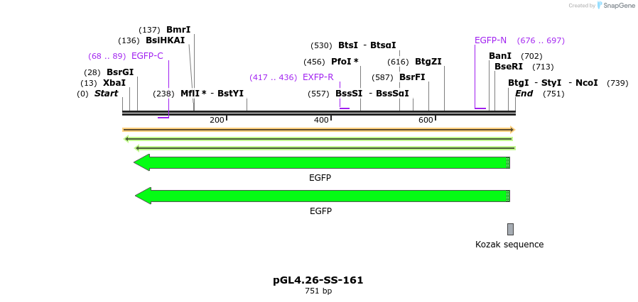 124909_map