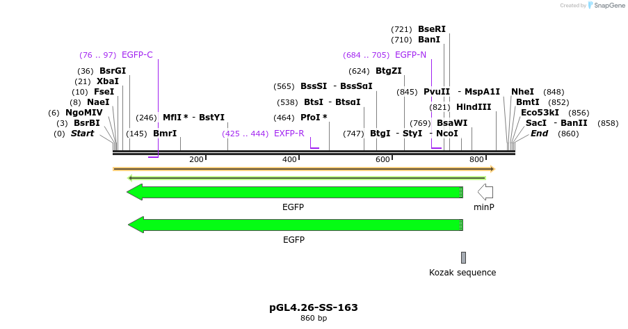 124911_map
