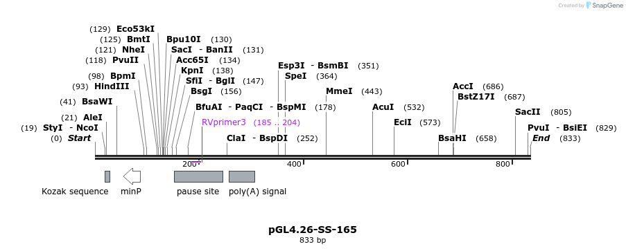 124912_map