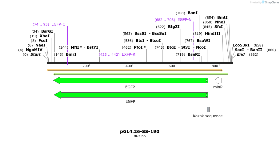 124914_map