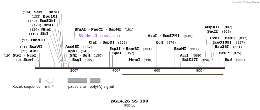 124915_map