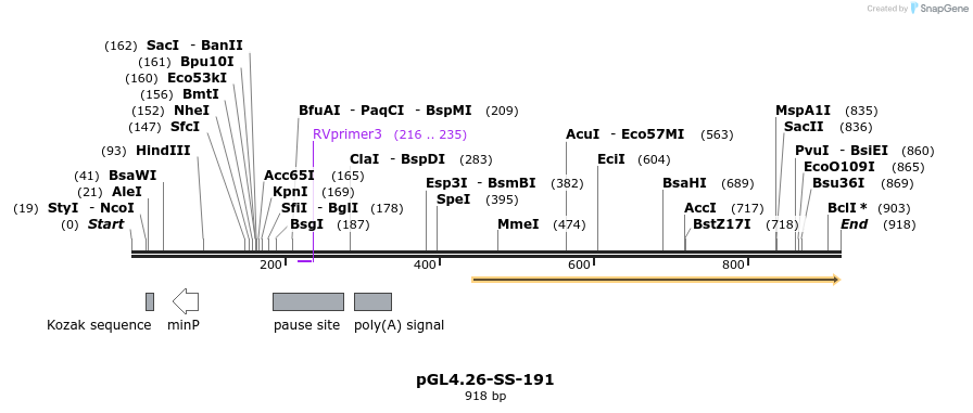 124916_map