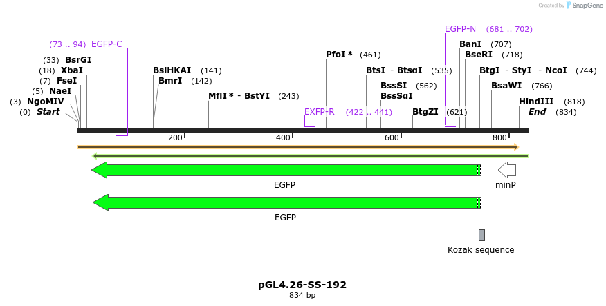 124919_map