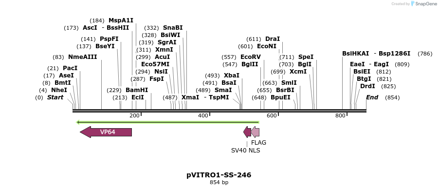 124920_map