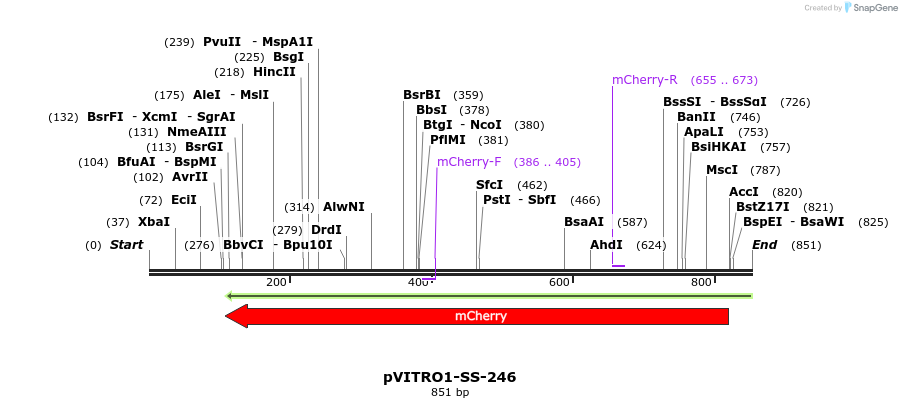 124921_map