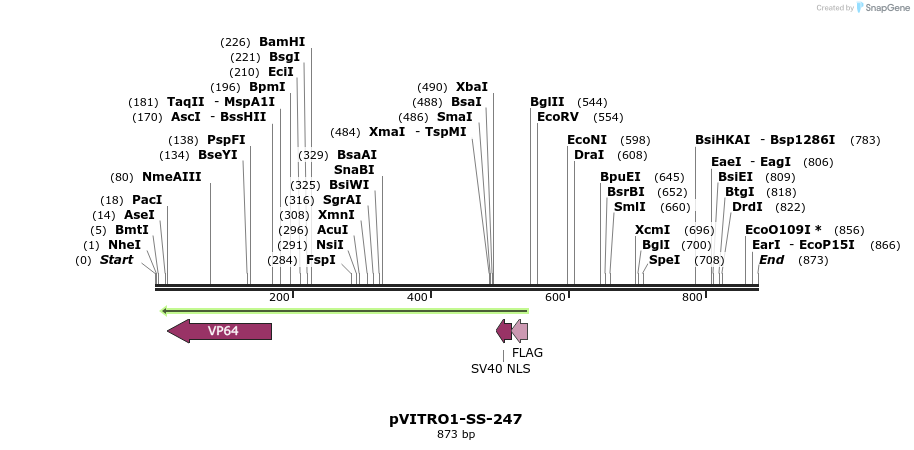 124923_map