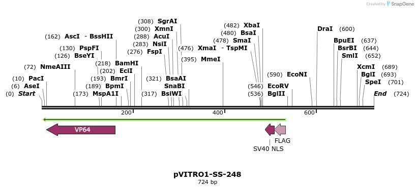 124925_map
