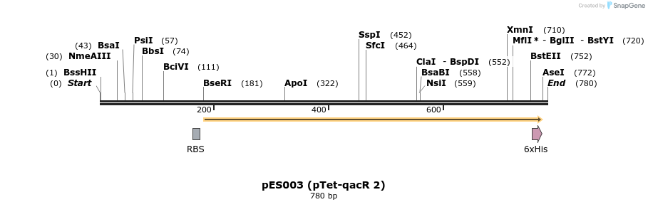 124931_map