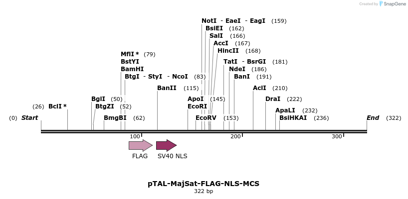 124932_map