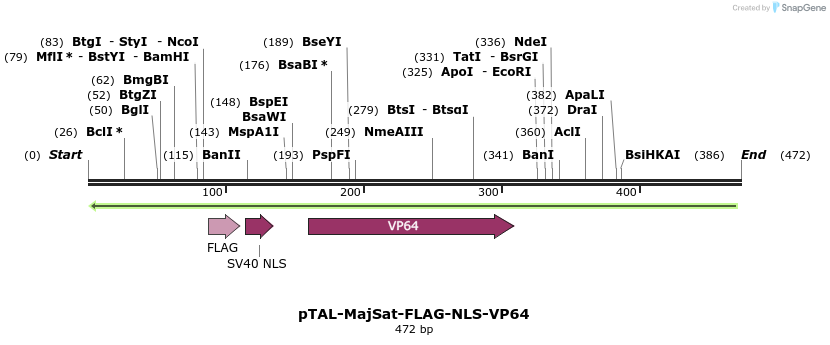 124933_map