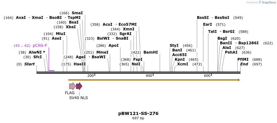 124937_map