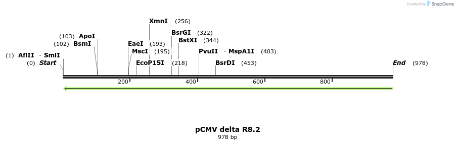 124938_map