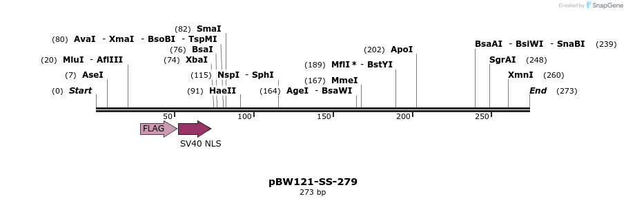 124950_map