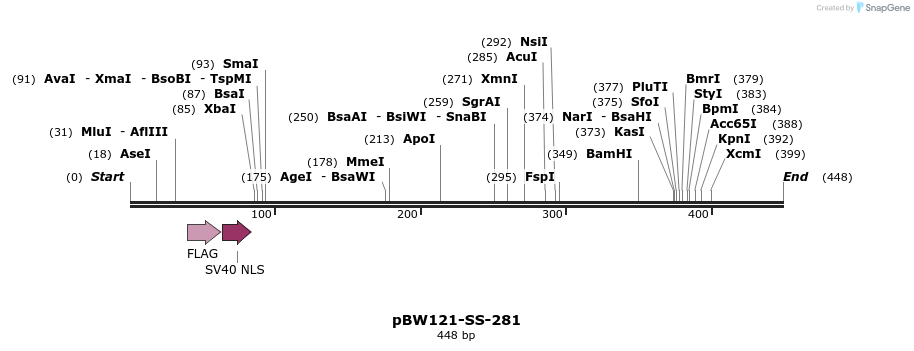 124956_map