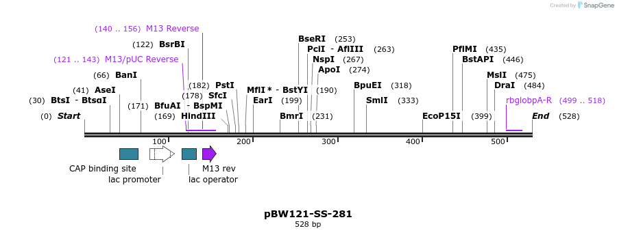 124957_map