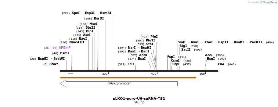 124959_map