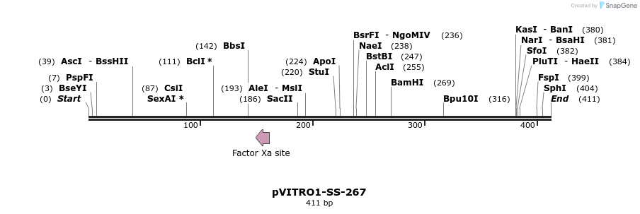 124961_map