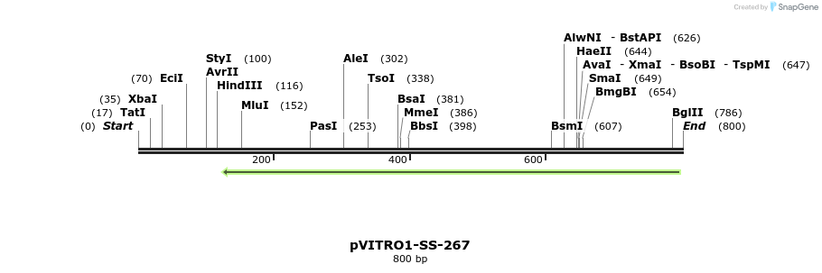 124963_map