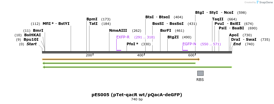 124967_map