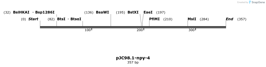 12497_map