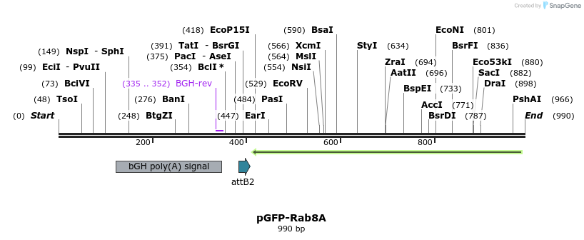 124971_map