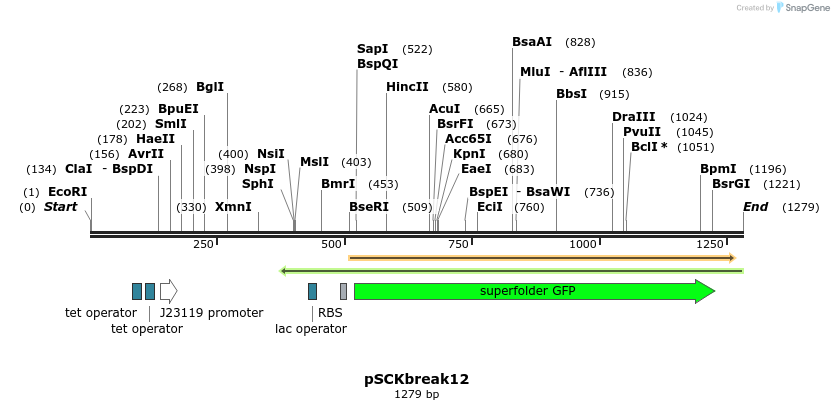 124986_map