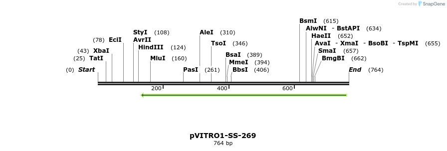 124991_map