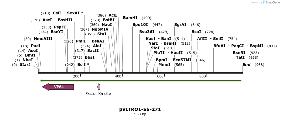 124992_map