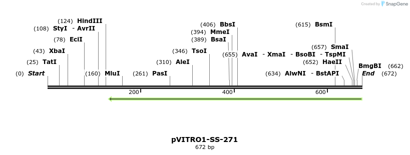 124993_map