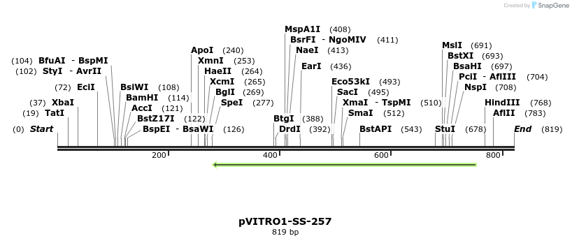 124997_map