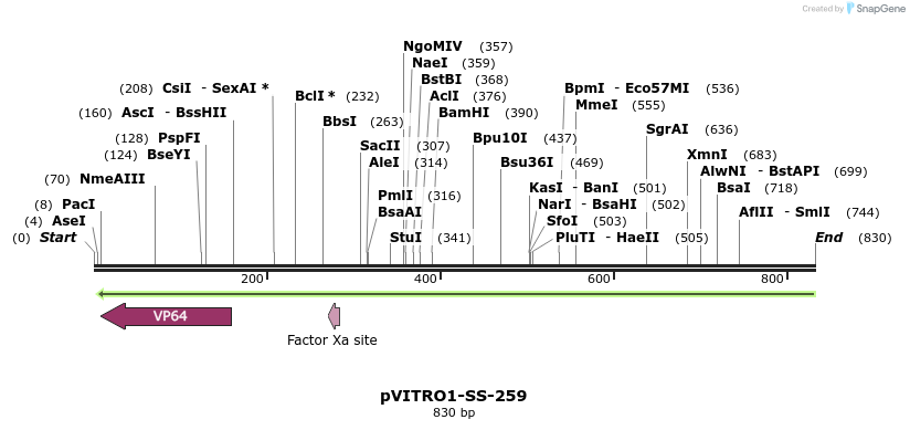 124998_map