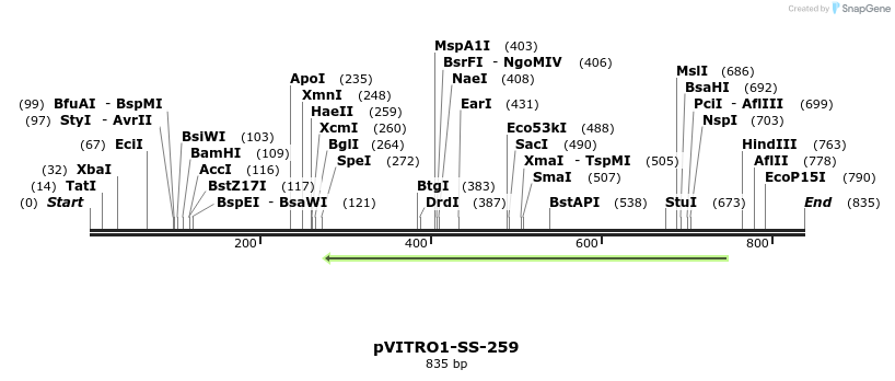 124999_map