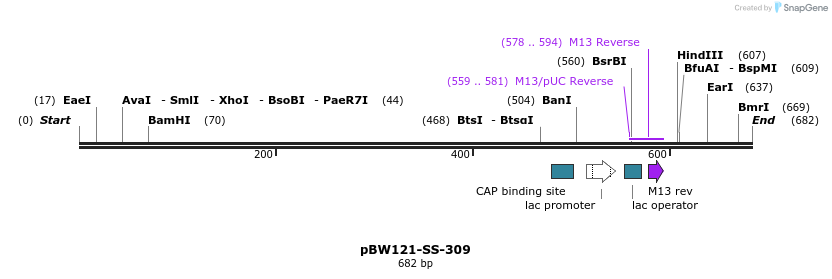 125003_map