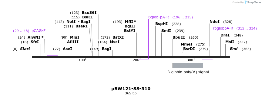 125006_map