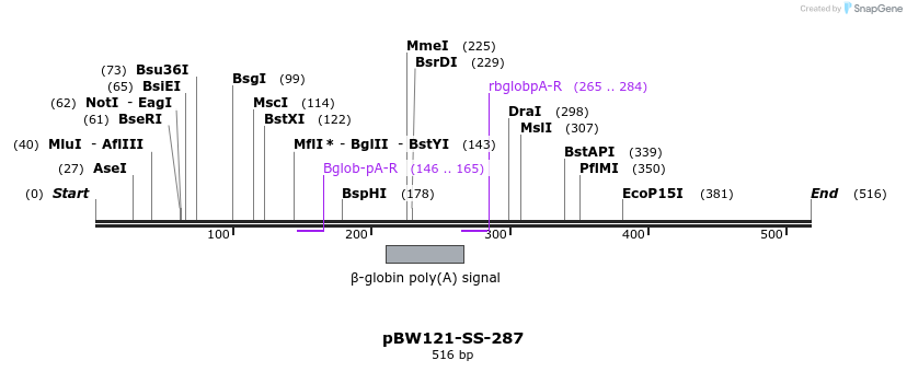 125010_map