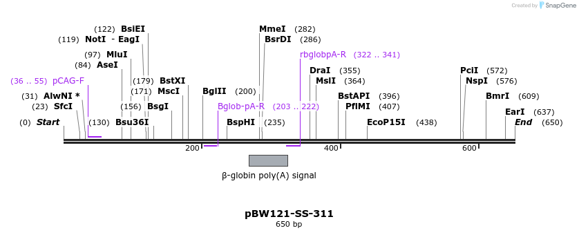 125012_map
