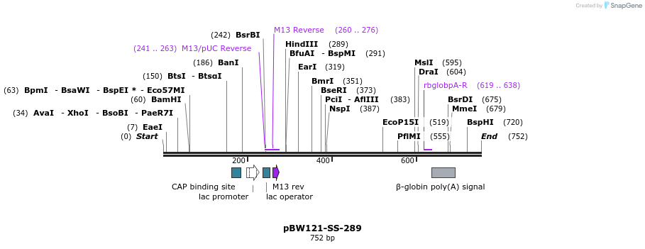 125013_map