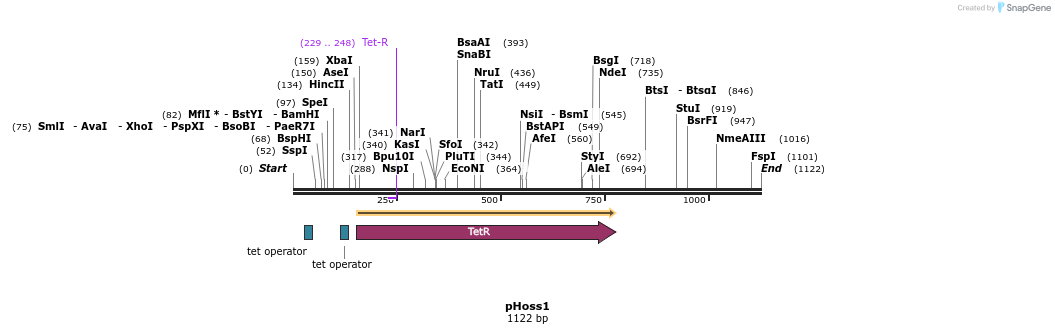 125014_map