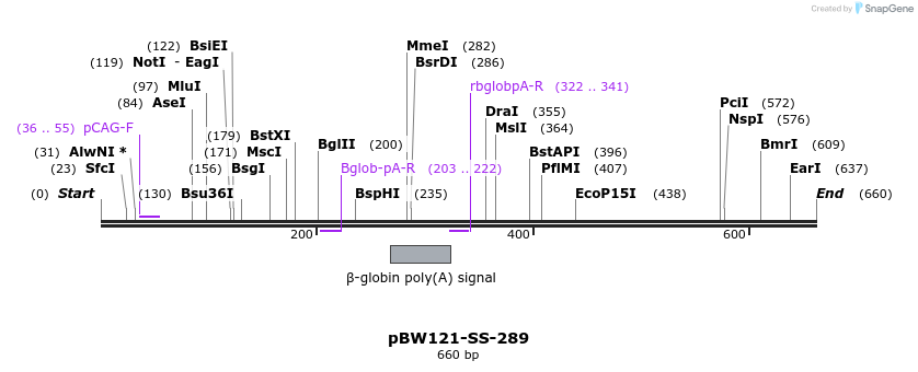 125015_map