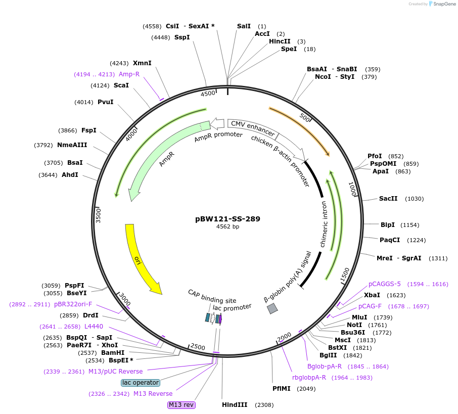 125016_map