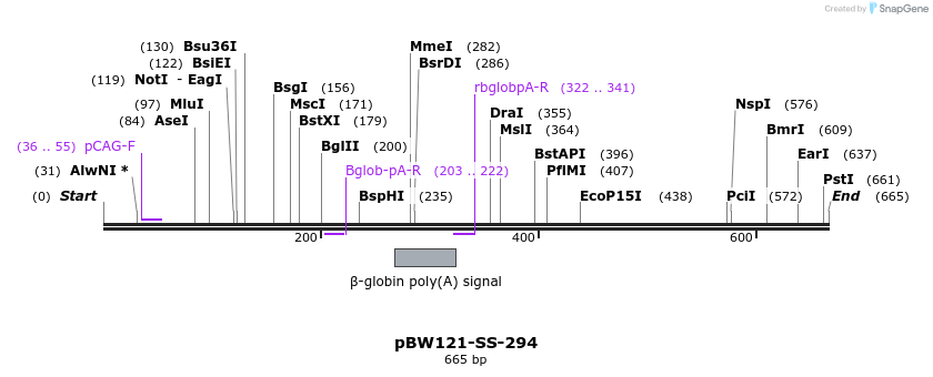 125018_map