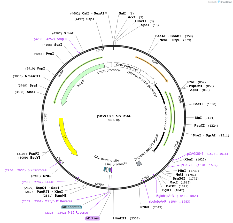 125019_map