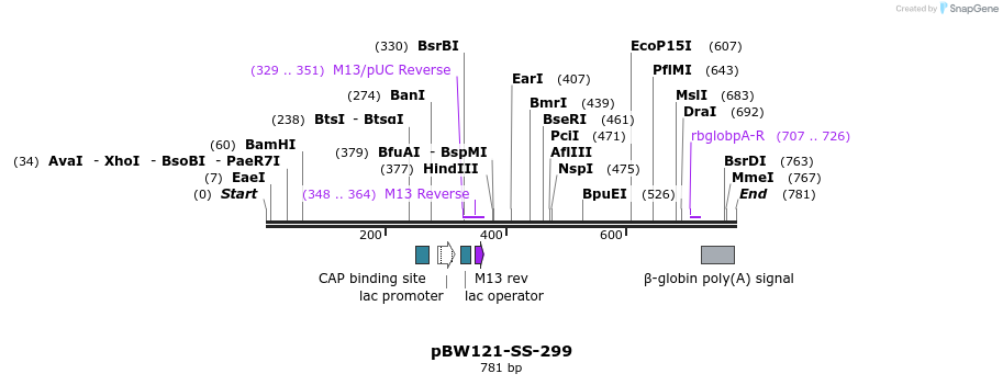 125020_map
