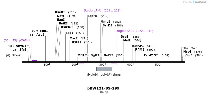125022_map
