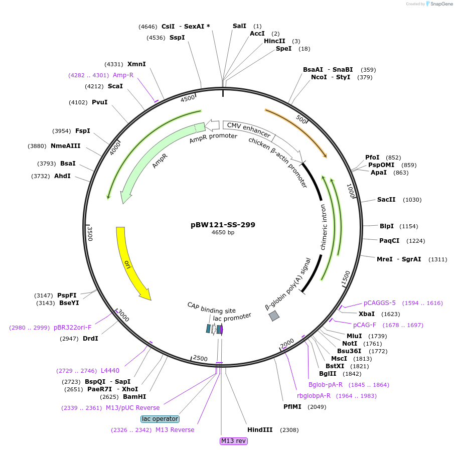 125023_map