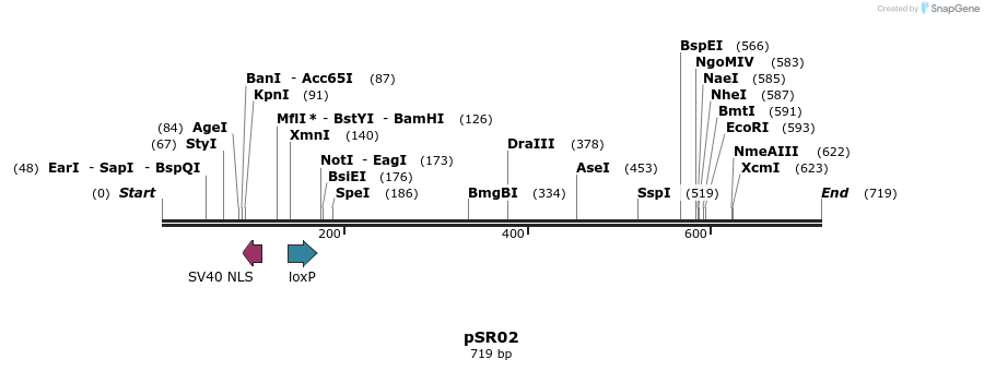 125029_map