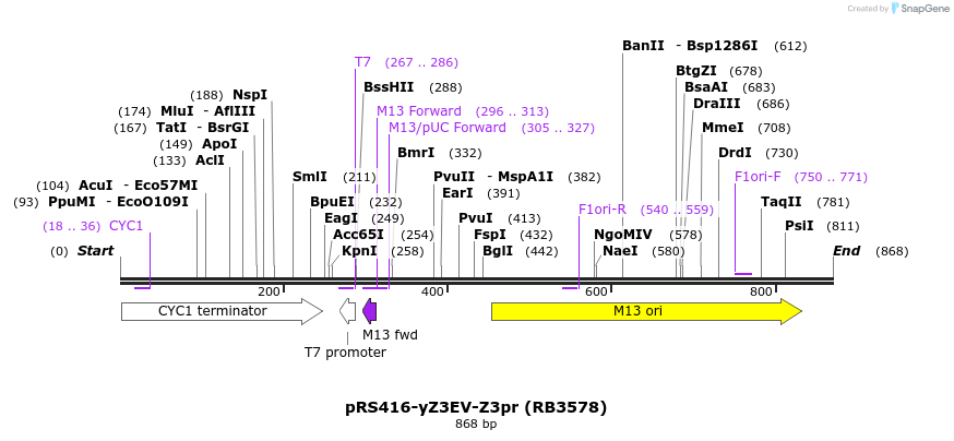 125037_map