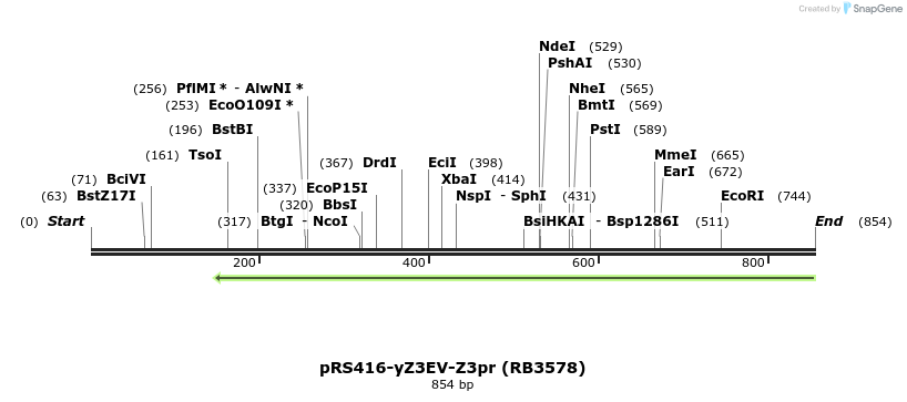 125039_map