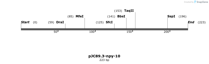 12504_map